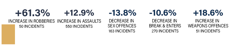 Major Crime Stats 2020